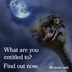 02 Be More Owl (300x300)