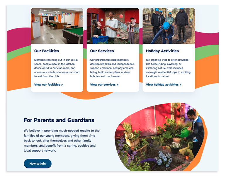section of homepage
